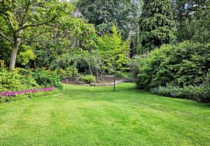 Optimiser l'expérience du jardin à Boussenac