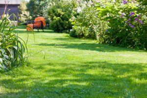 travaux jardin et paysage Boussenac